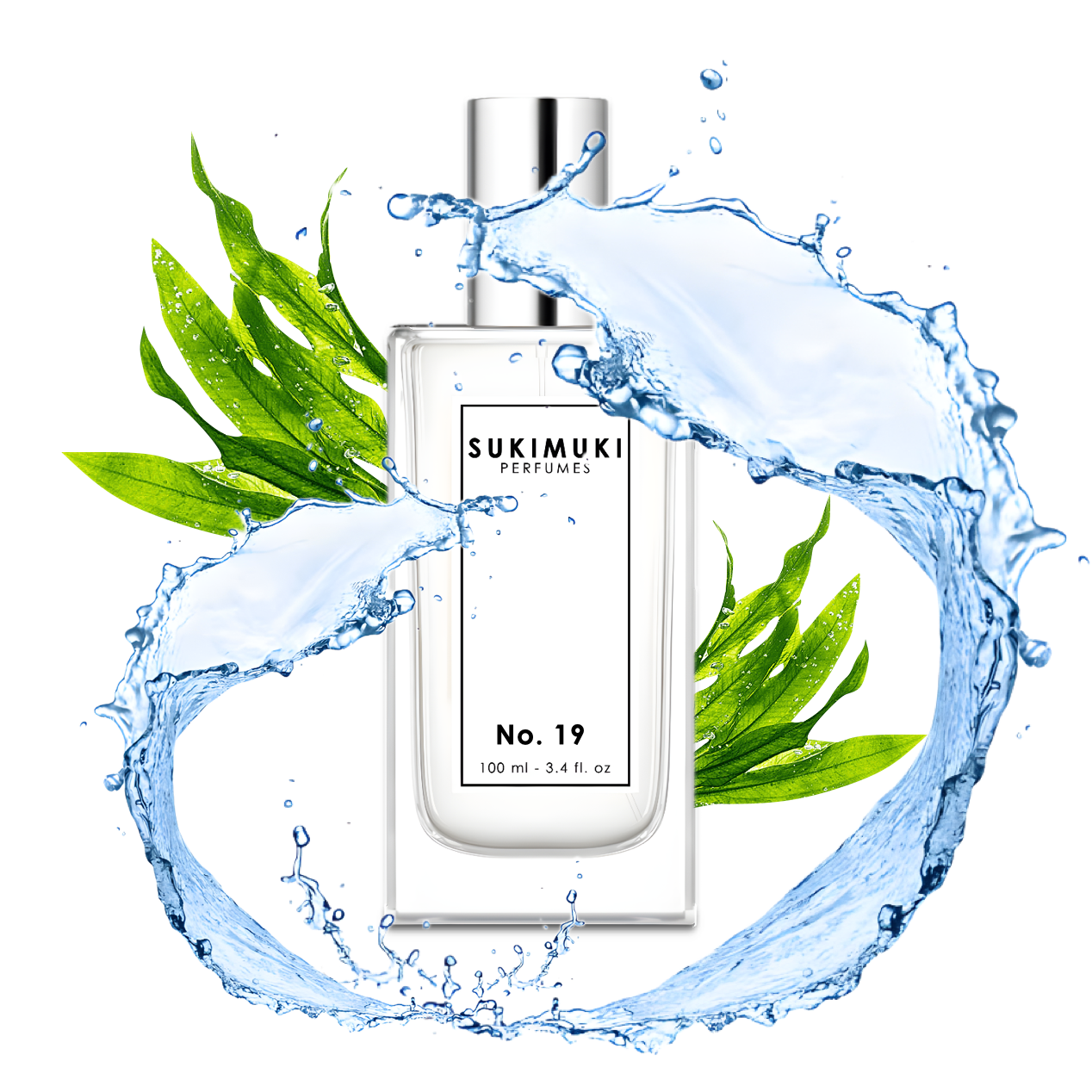 No. 19 | AGUA DE MAR | ALGAE | CEDRO