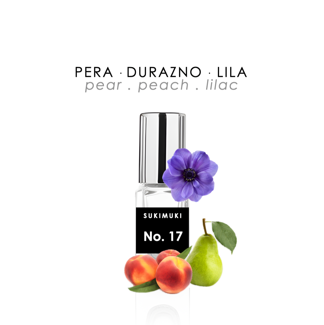 MUESTRA No. 17
