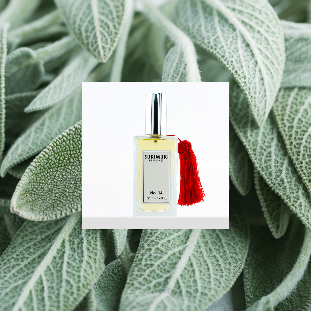 No. 14 | GRAPEFRUIT | VIOLET | PATCHOULI