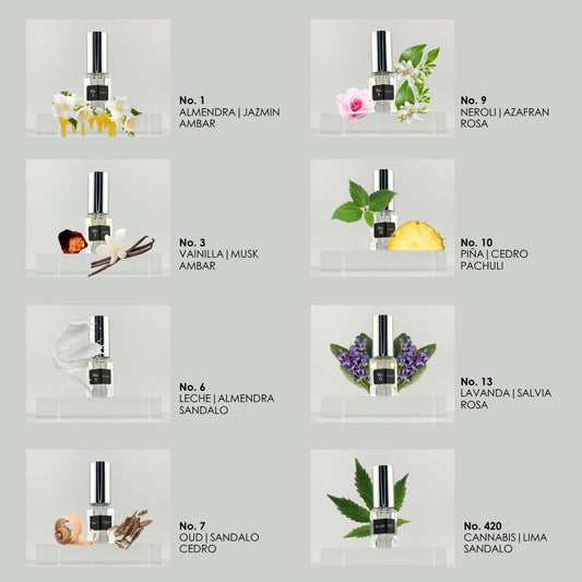 TOP HITS – The most beloved perfumes