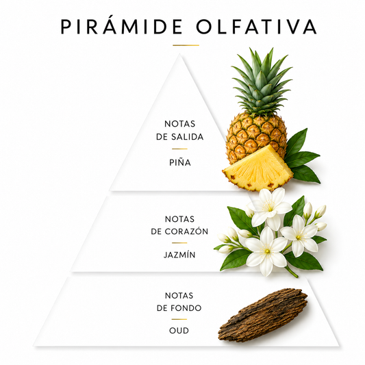 PERFUME 23 | PIÑA | JAZMIN | OUD