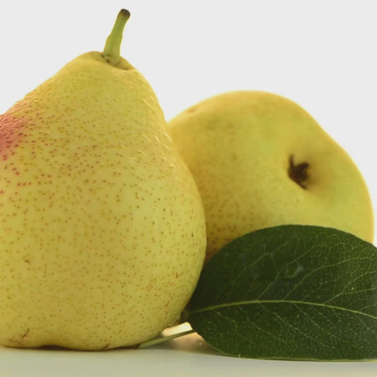 PERA ACEITE PERFUMADO