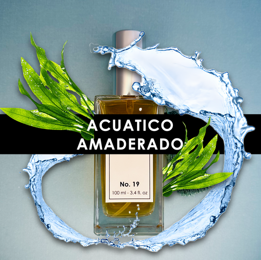 No. 19 | AGUA DE MAR | ALGAE | CEDRO