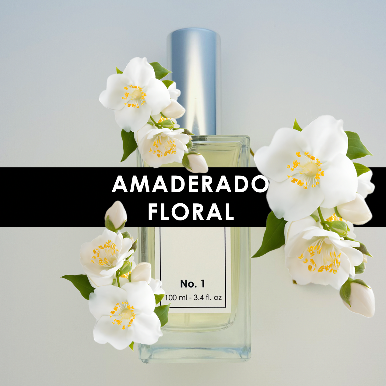 No. 1 | ALMENDRA | JAZMIN | AMBAR