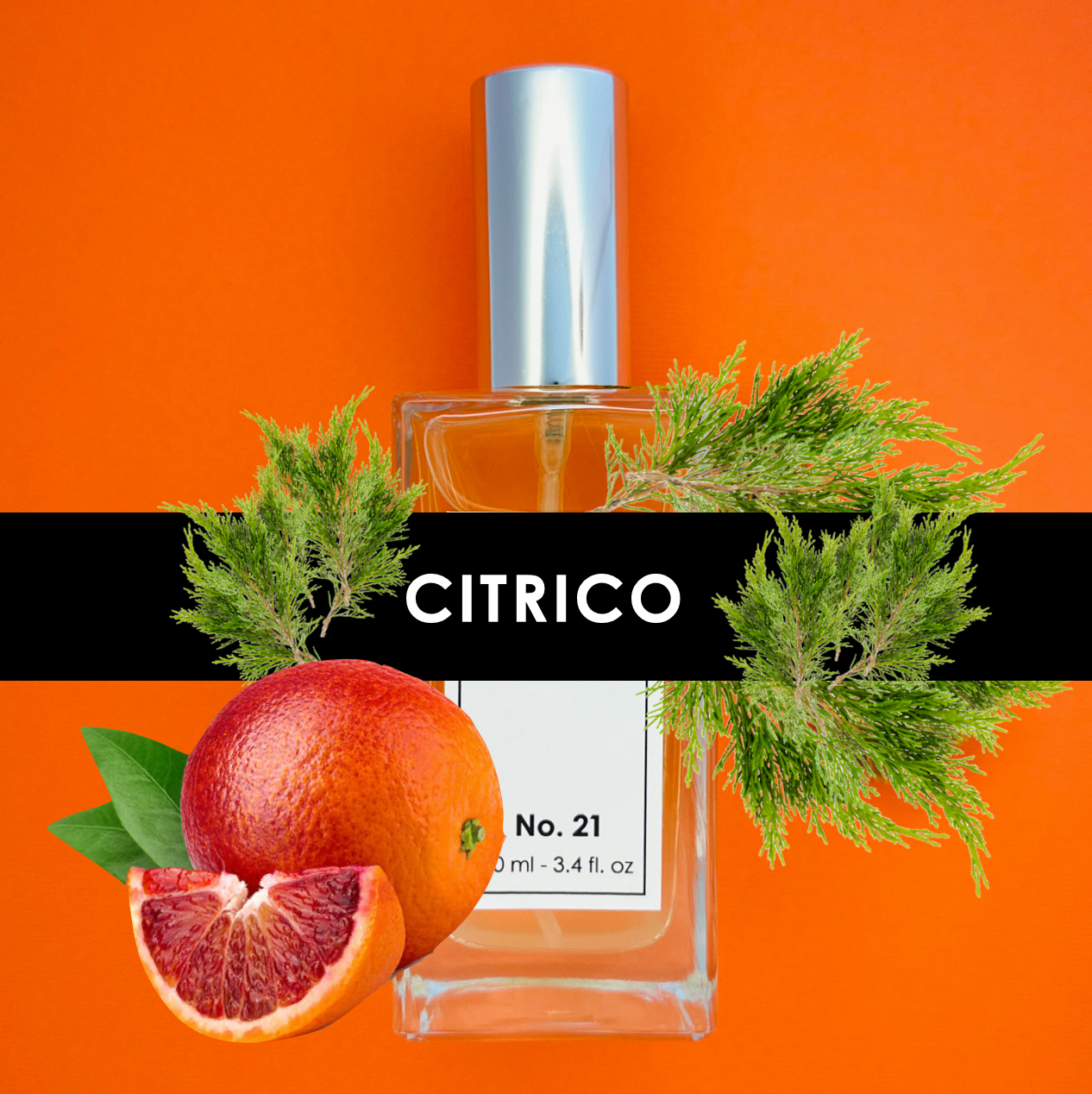 No. 21 | MANDARINA | CEDRO | HABA TONKA