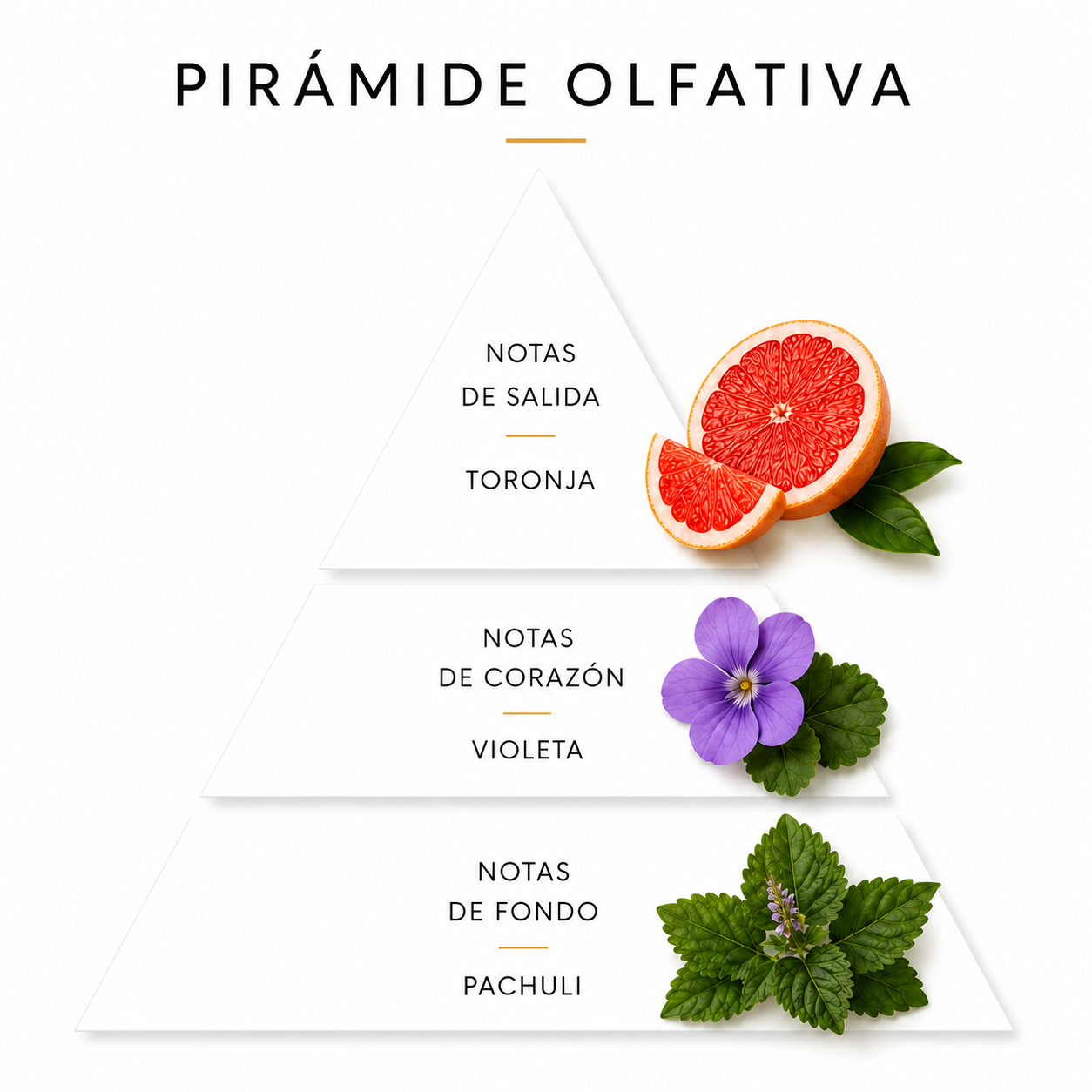 No. 14 | GRAPEFRUIT | VIOLET | PATCHOULI
