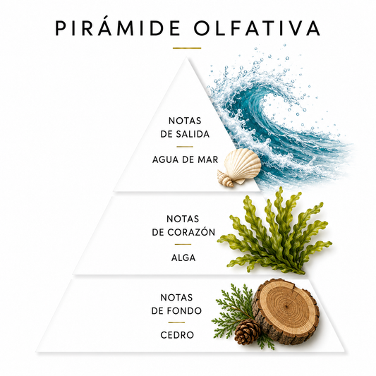 PERFUME 19 | AGUA DE MAR | ALGAE | CEDRO