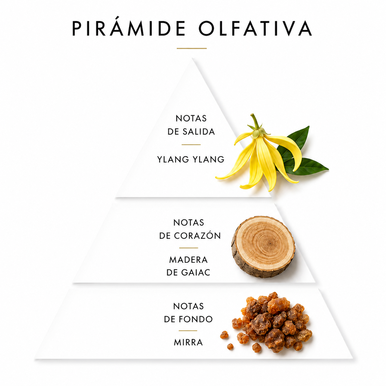 PERFUME 8 | YLANG YLANG | GAIAC | MIRRA